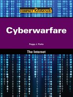 Cyberwarfare